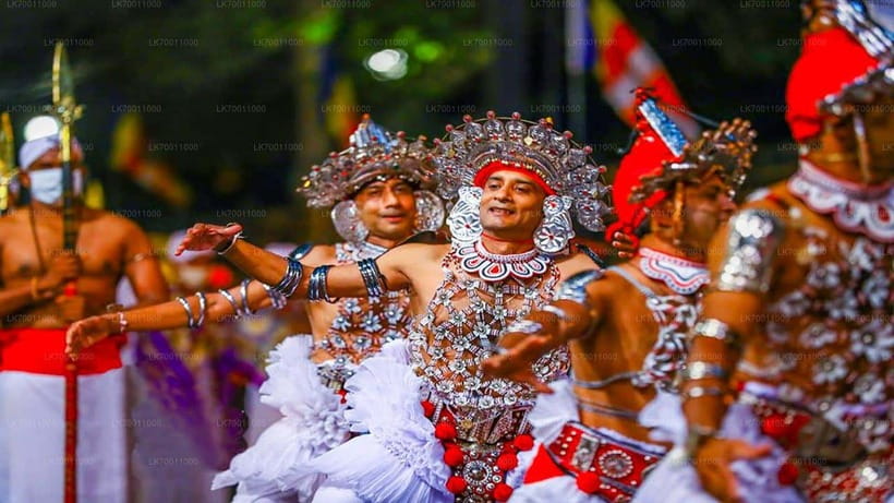Kandy : Pinnawala Day Tour with Top Rated Local Guide - Should you book it? My take on the value