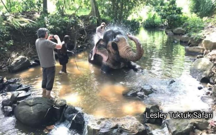Kandy : Pinnawala Elephant Safari Private Guid Tuk Tuk Tour - Key things to know before you go
