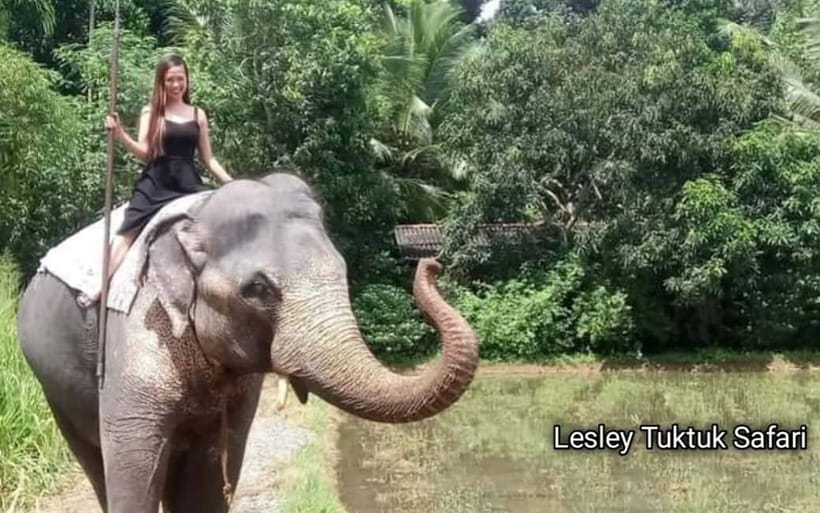 Kandy : Pinnawala Elephant Safari Private Guid Tuk Tuk Tour - How this Kandy day trip stays efficient without feeling rushed