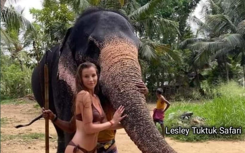 Kandy : Pinnawala Elephant Safari Private Guid Tuk Tuk Tour - The lunch break you actually need on an elephant day