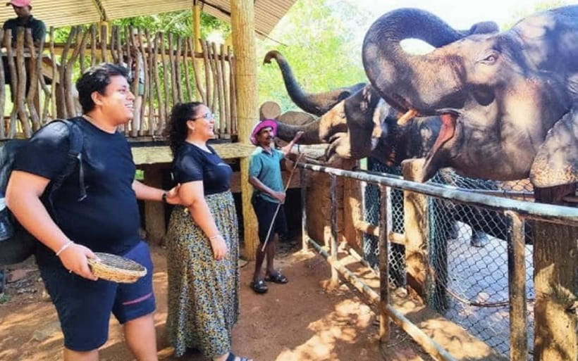 Kandy : Pinnawala Elephant Safari Private Guid Tuk Tuk Tour - Cultural stops around Kandy, from gems to Kandyan dance