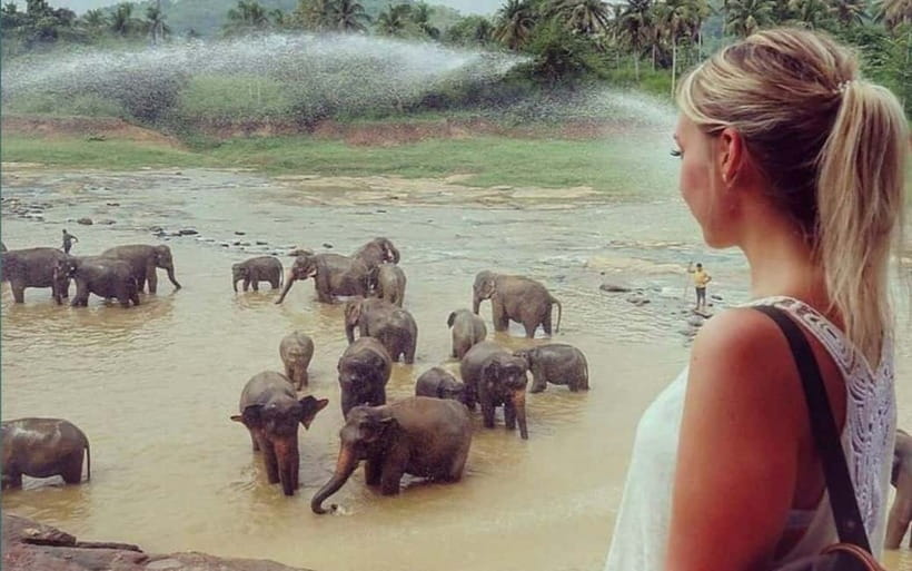 Kandy : Pinnawala Elephant Safari Private Guid Tuk Tuk Tour - Temples and viewpoints: the sacred side of the day