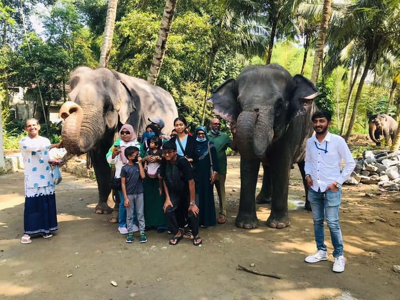 Kandy : Pinnawala Elephant Safari Private Guid Tuk Tuk Tour - Price and logistics: where the $24 really goes