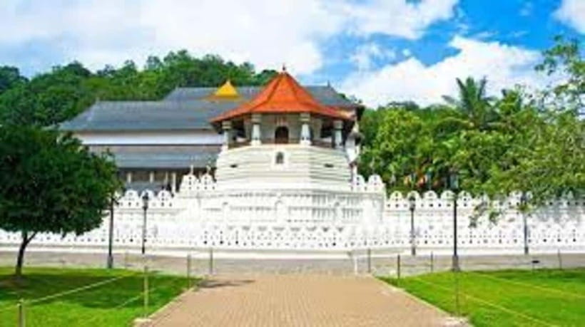 Kandy & Pinnawala & Tea Factory Full Day Tour From Negombo - Key things I’d plan for