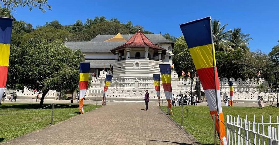 Kandy & Pinnawala & Tea Factory Full Day Tour From Negombo - Budget math: $49 plus the real cost of entry tickets