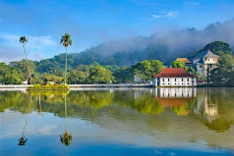 Kandy & Pinnawala & Tea Factory Full Day Tour From Negombo - Tea factory and estate, a sensory break from temples