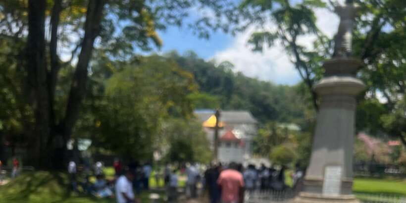 Kandy: Private City Highlights Guided Tour by Tuk-Tuk - Sri Maha Bodhi Viharaya: a calm spiritual pause