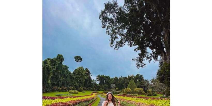 Kandy: Private Guided City Tours by Tuk Tuk Sightseeing Tour - Peradeniya Botanical Gardens: your calmer hour in Kandy
