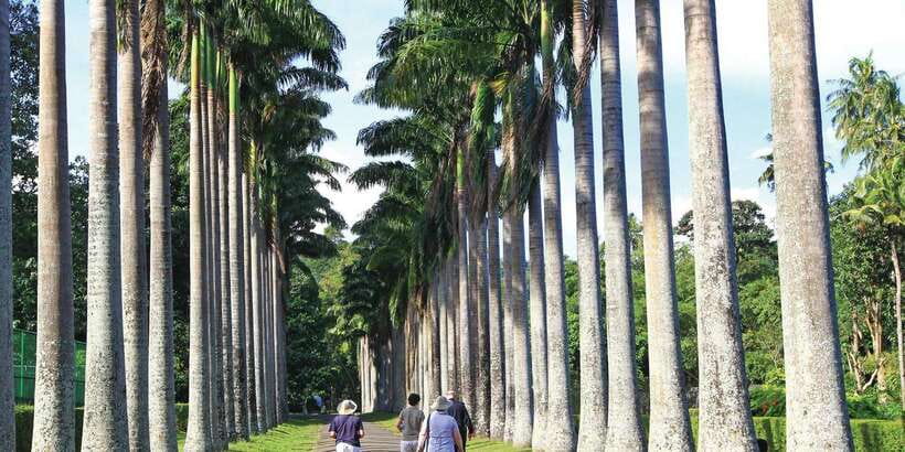 Kandy: Private Guided City Tours by Tuk Tuk Sightseeing Tour - Kandy wood crafting: watch artisans work, then decide on purchases
