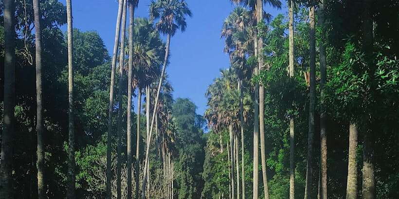 Kandy: Private Guided City Tours by Tuk Tuk Sightseeing Tour - Ceylon Gem Museum: see the industry, keep your expectations realistic