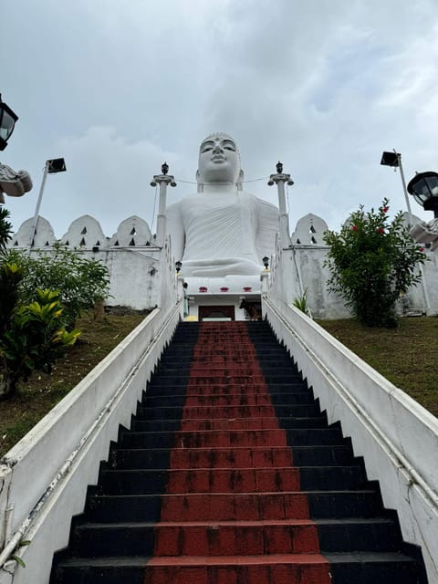 Kandy: Private Guided Tour with Local Highlights by Tuk Tuk - Tea plantation stop and Mahaweli River wildlife chances