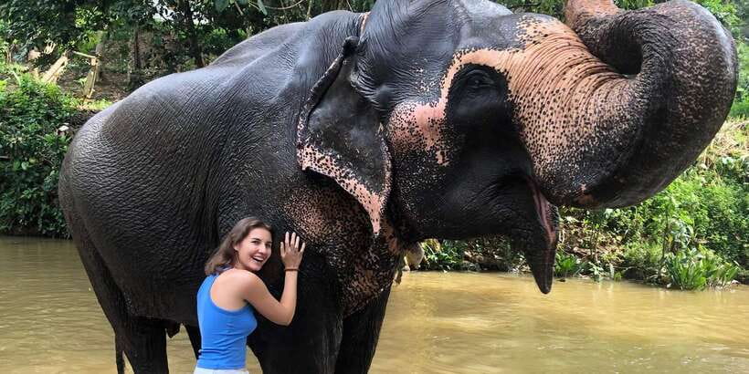 Kandy privet day tour with pinnawala and Tea plantation - Key highlights to notice before you go
