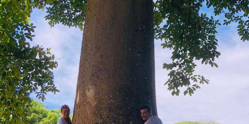Kandy privet day tour with pinnawala and Tea plantation - From hotel pickup to drop-off, this is a tight but workable full-day loop