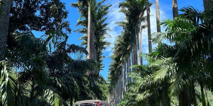 Kandy privet day tour with pinnawala and Tea plantation - Bahirawakanda Temple, plus Kandy Lake for a breather