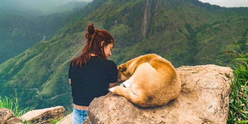 Kandy: Shanthipura and Nuwara Eliya - Key Highlights You’ll Actually Feel