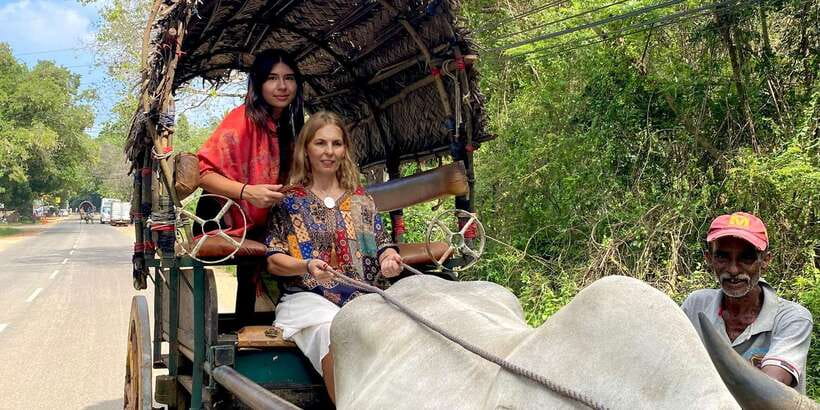 Kandy: Sigiriya, Dambulla & Wildlife Safari Private Tour - Village tour and lunch: see day-to-day life, not just monuments