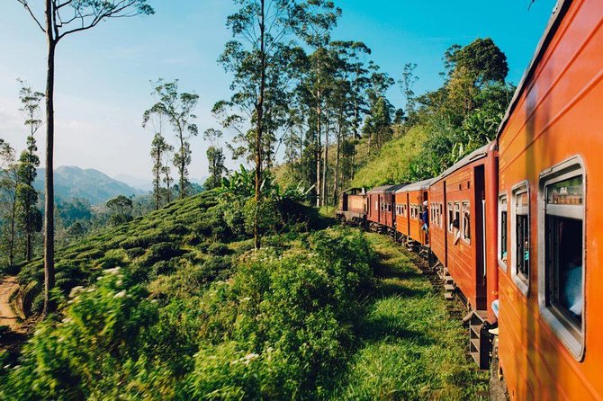 Kandy to Ella Train Tickets - Reserved Seats - Ticket Delivery and Communication: The Convenience You’re Paying For