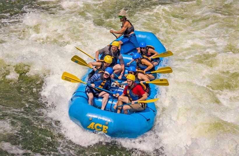 Kandy to Kithulgala White Water Rafting on the Kelani River - Birds, Wildlife, and the Calmer Side of the Kelani
