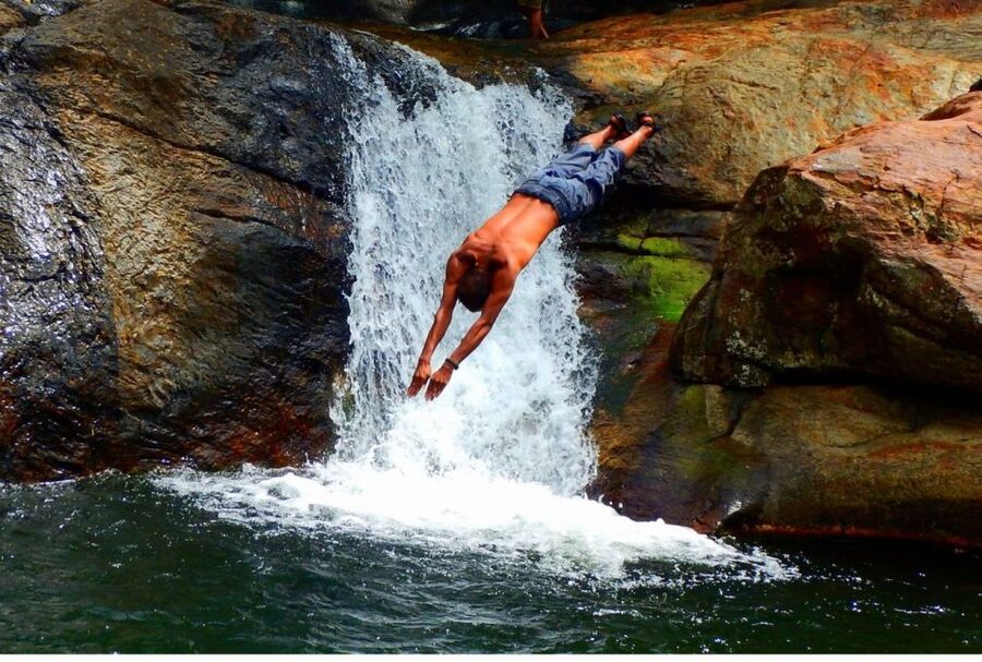 Kandy to Knuckles: Overnight Trekking & Hiking Adventure - Biodiversity spotting that goes beyond big animals