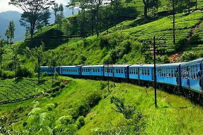 Kandy to Nanu Oya train ride on (Train No: 1005 "Podi Menike") - Key highlights
