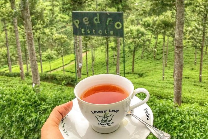 Kandy to Nuwara Eliya Day Tour - Key Highlights You’ll Actually Care About