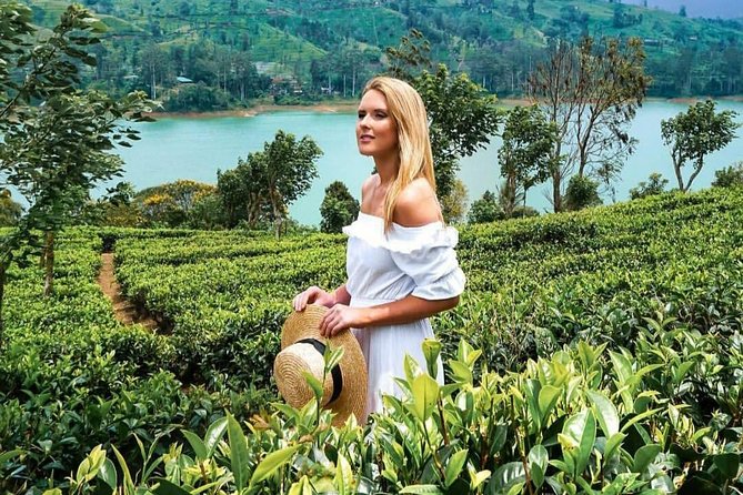 Kandy to Nuwara Eliya Day Tour - Getting Around Nuwara Eliya After Tea and Waterfalls