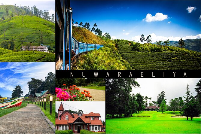 Kandy to Nuwara Eliya Day Trip – Little England & Tea Country - Quick Takeaways: Kandy to Nuwara Eliya in One Day