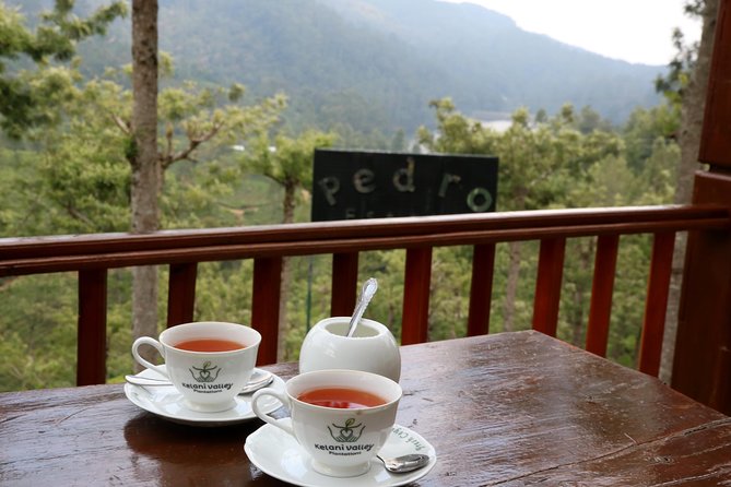 Kandy to Nuwara Eliya Day Trip – Little England & Tea Country - Bluefield Tea Gardens and the Tea Factory: Leaf to Cup Lessons