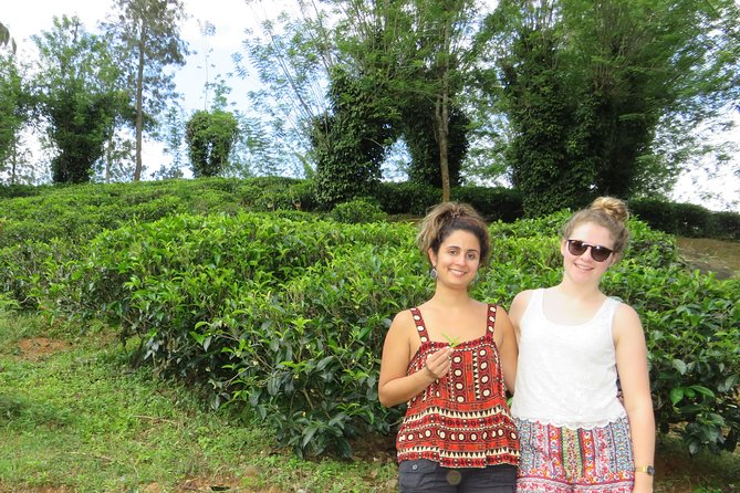 Kandy to Nuwara Eliya Day Trip – Little England & Tea Country - Victoria Park and Nuwara Eliya Racecourse: Colonial Quirks and Cool-Air Atmosphere