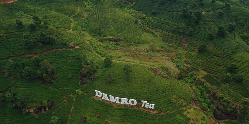 Kandy To Nuwara Eliya Drop Tour - Sri Lanka - Price and value: what $25 really buys you
