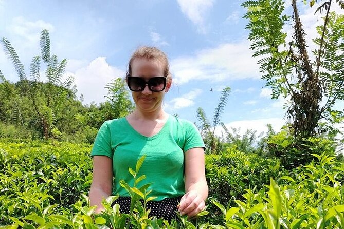 Kandy to Nuwara Eliya Private Day Tour: Tea Factory& Gregory Lake - Kandy to Nuwara Eliya, in One Long, Scenic Day