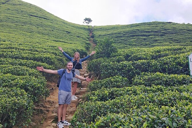 Kandy to Nuwara Eliya Private Day Tour: Tea Factory& Gregory Lake - Gregory Lake: The One-Hour Reset for Cool-Weather Walking