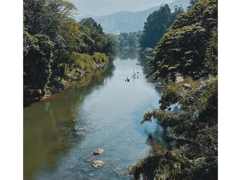 Kandy to Pinnawala Guided Day Tours by Local - Royal Botanical Garden Peradeniya: Where the Day Slows Down