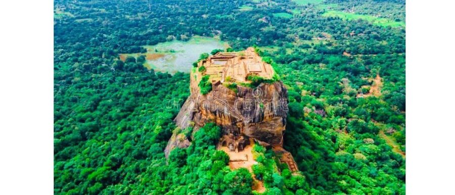 Kandy to Sigiriya Guided Day Tours by Local - Minneriya wildlife safari: what to watch for in the final stretch