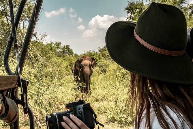 Kandy to Trincomalee Shuttle & Safari Drive - Kandy to Trincomalee with a real safari built in
