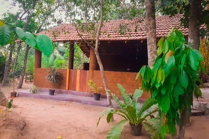 Kandy Village Cooking Class - Key Highlights Before You Go