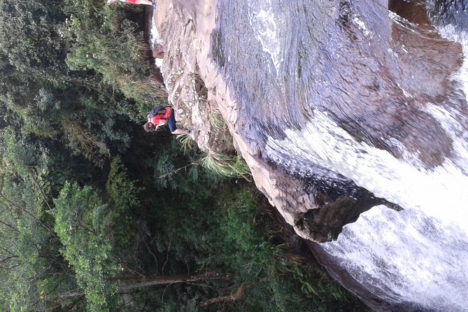 kandy waterfalls day tour - Lunch by the waterfalls: included, Sri Lankan-style, and actually filling