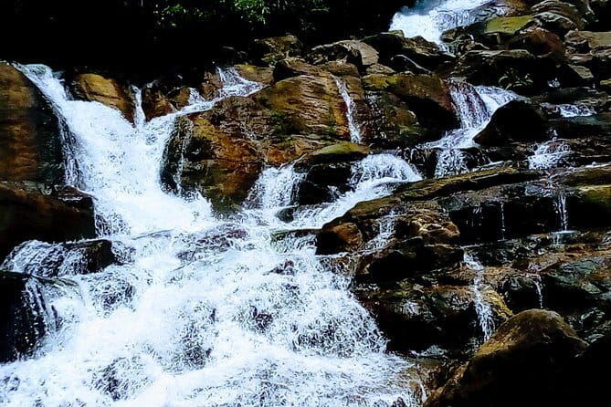 Kanneliya Rain Forest Tour - Key things I’d plan around
