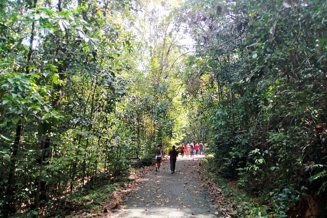 Kanneliya Rain Forest Tour - What $95 gets you, and why it can be good value