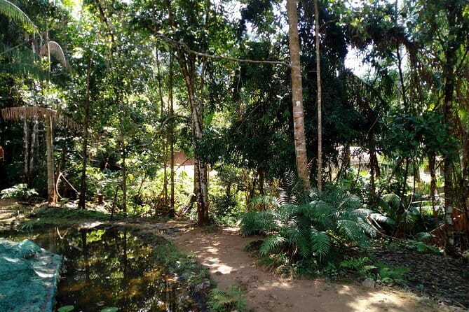 Kanneliya Rain Forest Tour - Comfort, timing, and small details that make it smoother