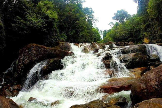 Kanneliya Rain Forest Tour - Entering Kanneliya Rain Forest Reserve, where biodiversity is the main show