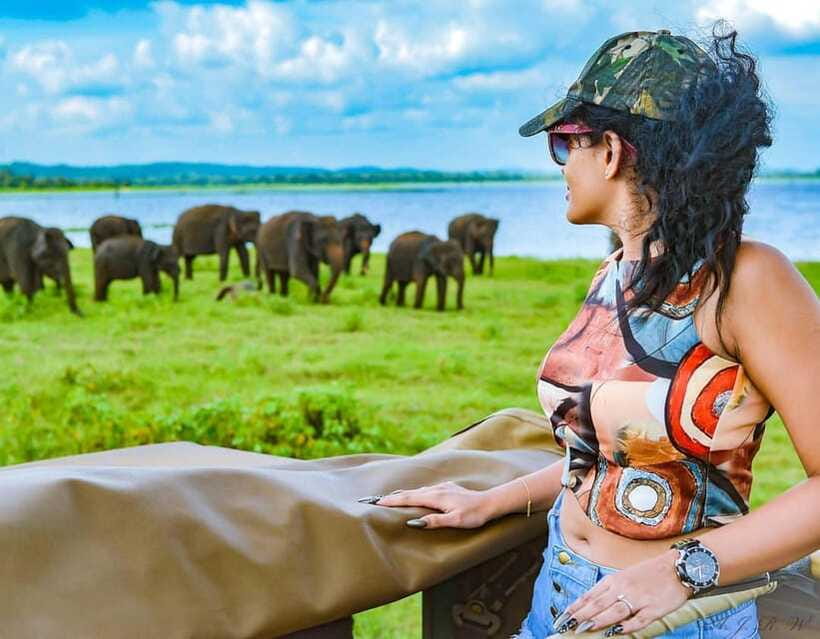 Kaudulla National Park Half-Day Safari with Expert - Price and Value: What $34 Covers, and What to Plan for