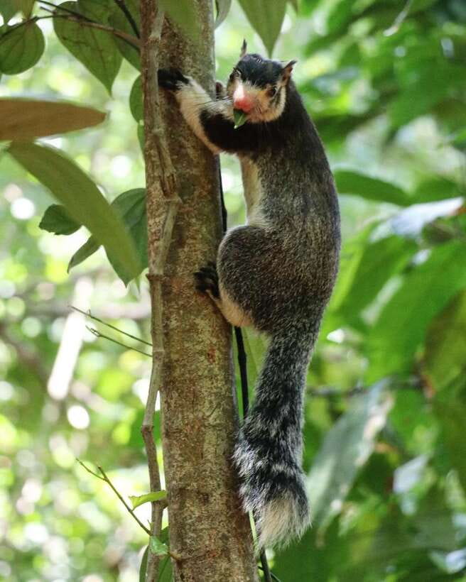Kaudulla National Park Private Elephant & Wildlife Safari - Key Things That Make This Kaudulla Safari Worth It