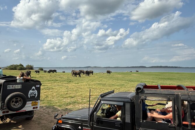 Kaudulla National Park Safari [private , full package] - Included items and what you still need to plan