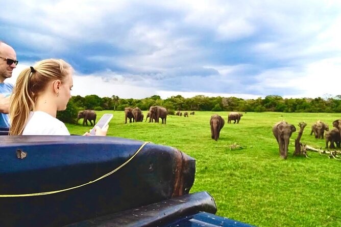 Kaudulla Safari Adventure - Key highlights you will notice fast