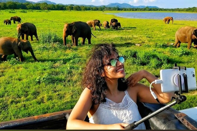 Kaudulla Safari Adventure - Who this Kaudulla safari suits best