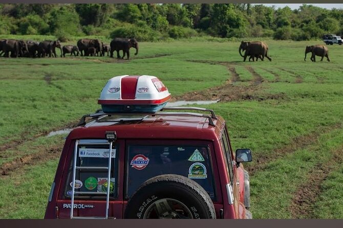 Kaudulla Safari Adventure - Should you book Kaudulla Safari Adventure?