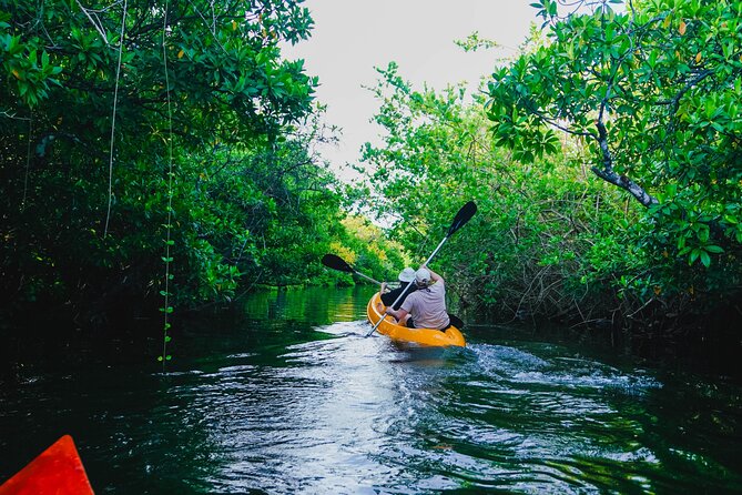 Kayaking Adventure on serene waters through mangroves, Akurala - Key things that make this Akurala kayak stand out