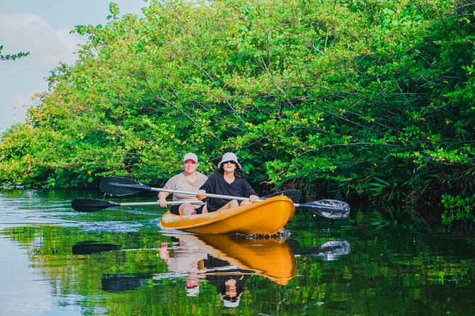 Kayaking Adventure on serene waters through mangroves, Akurala - What you do during the 2-hour paddle, step by step
