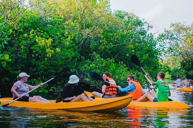 Kayaking Adventure on serene waters through mangroves, Akurala - Logistics that actually matter before you go